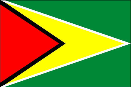 for larger flag of Guyana